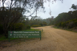 black-hill-conservation-park